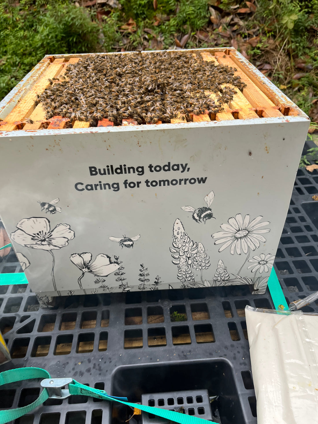 Winter hive checks