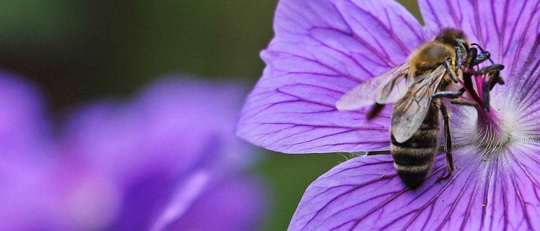 How can your business lead the way on sustainability?