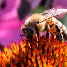 (ESG) activities have impacted the financial performance