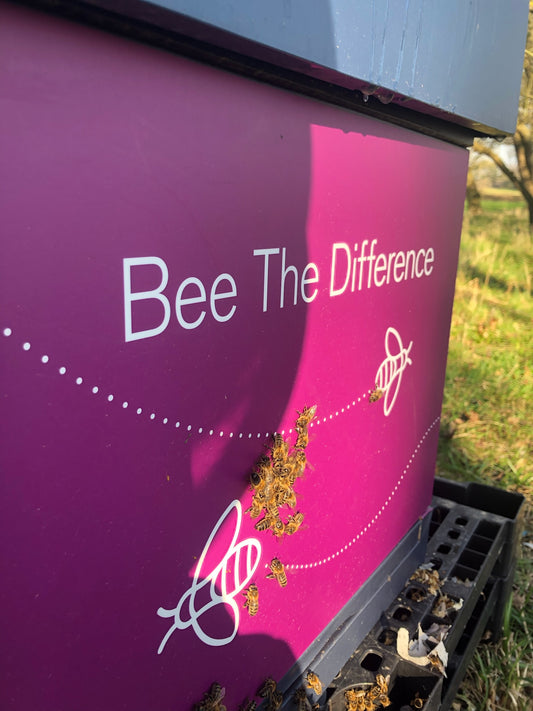 Branded Beehive & Bees – Delivered & Installed (Client Maintains Hive & Bees)