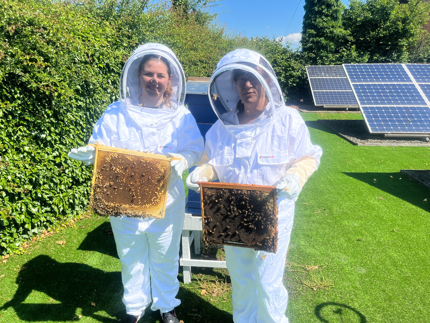 Branded Beehive – Site Visit, Consultation & Bespoke Proposal (Fully Managed Service) Schools & Charities