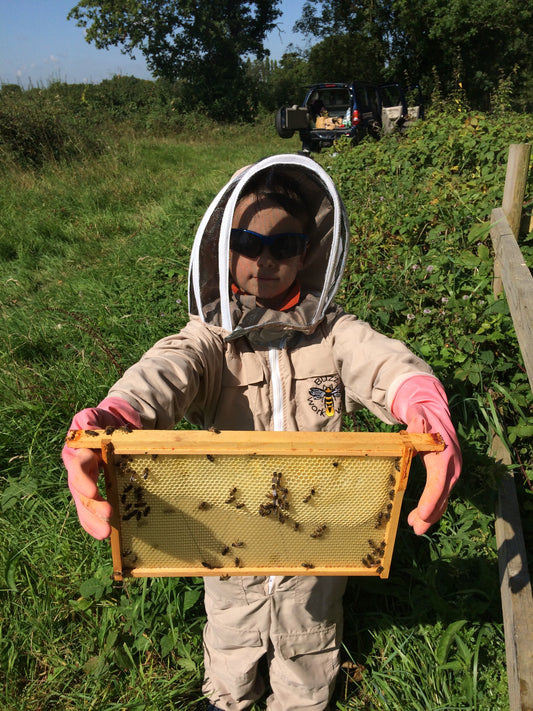 Branded Beehive – Site Visit, Consultation & Bespoke Proposal (Fully Managed Service) Schools & Charities
