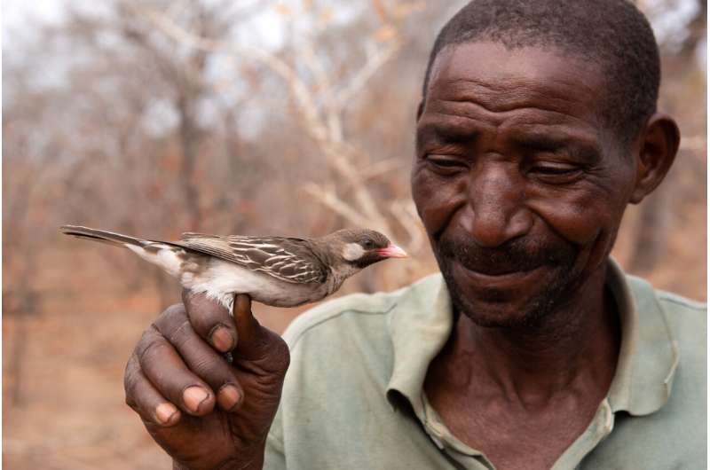 Successful honey-hunters know how to communicate with wild honey-seeking birds