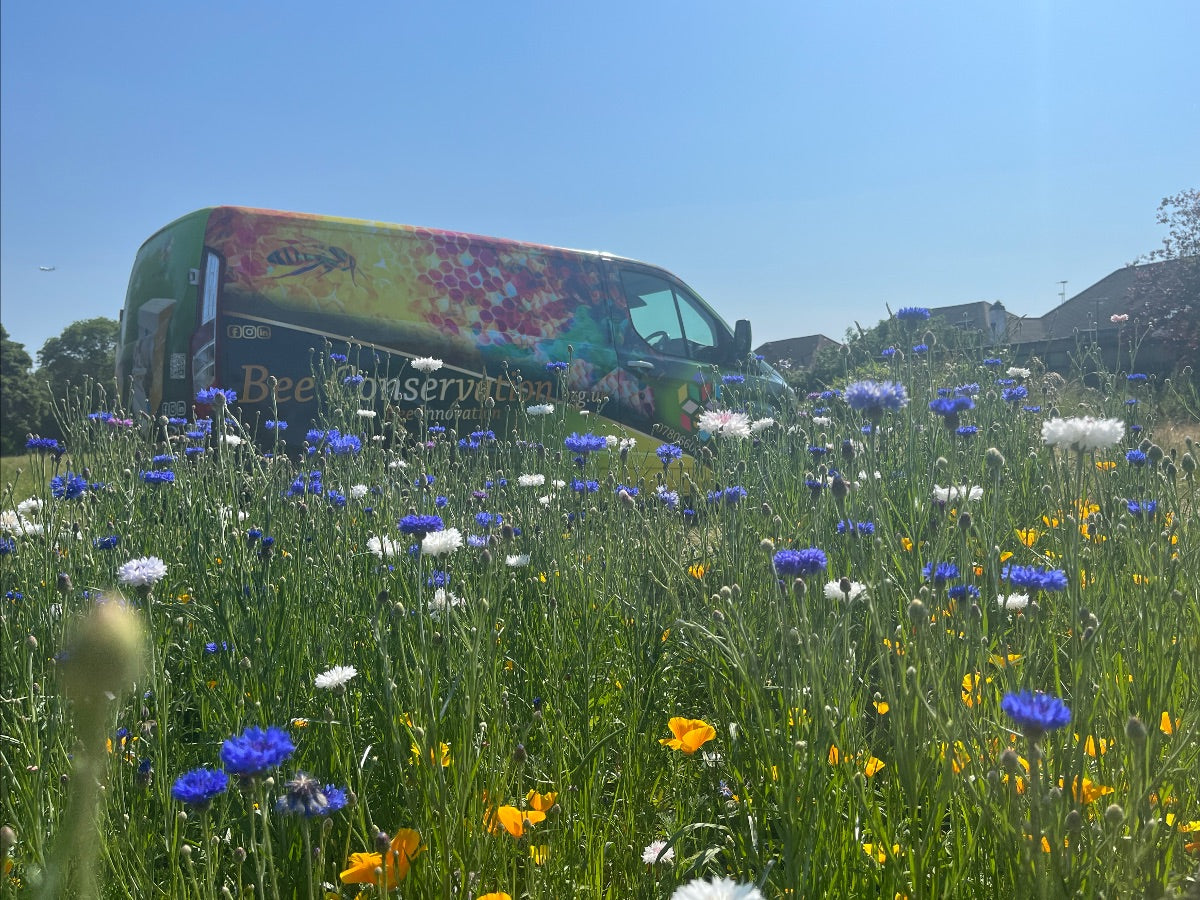Why Flower Variety Matters More Than Your Garden’s Location – thaliawhite