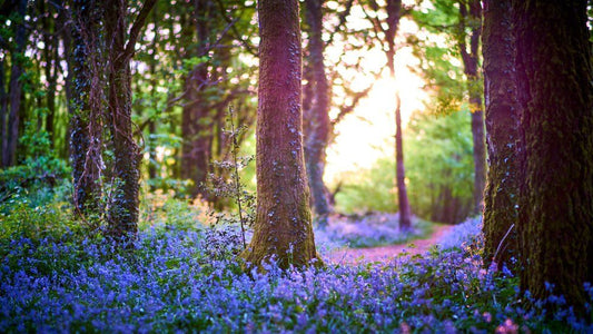 10 Things About Biodiversity Net Gain You Need To Know