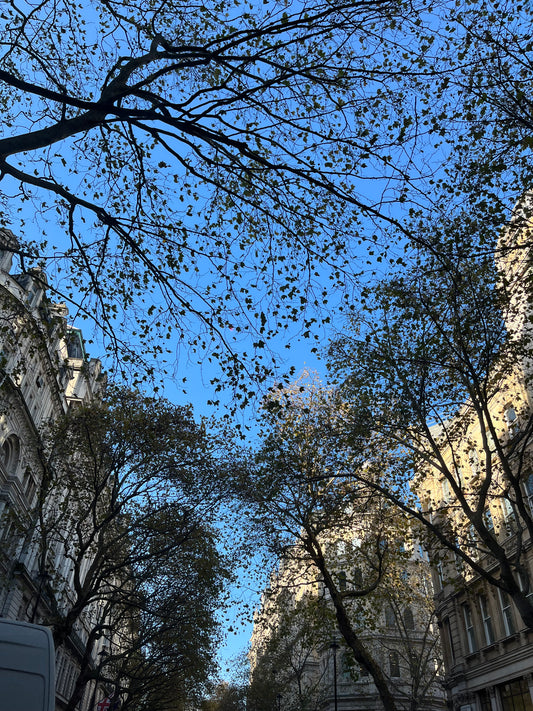 Natural England unveils new Green Infrastructure Framework