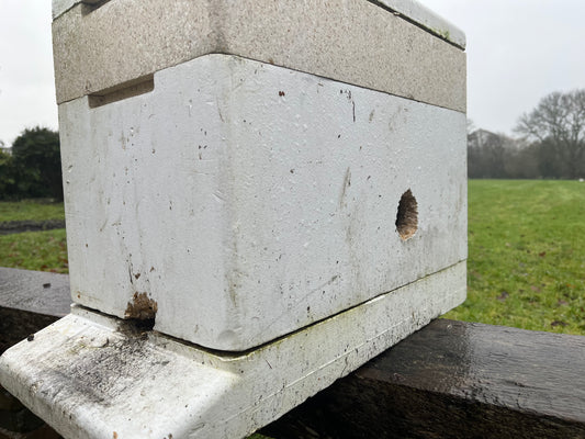 Hive attack