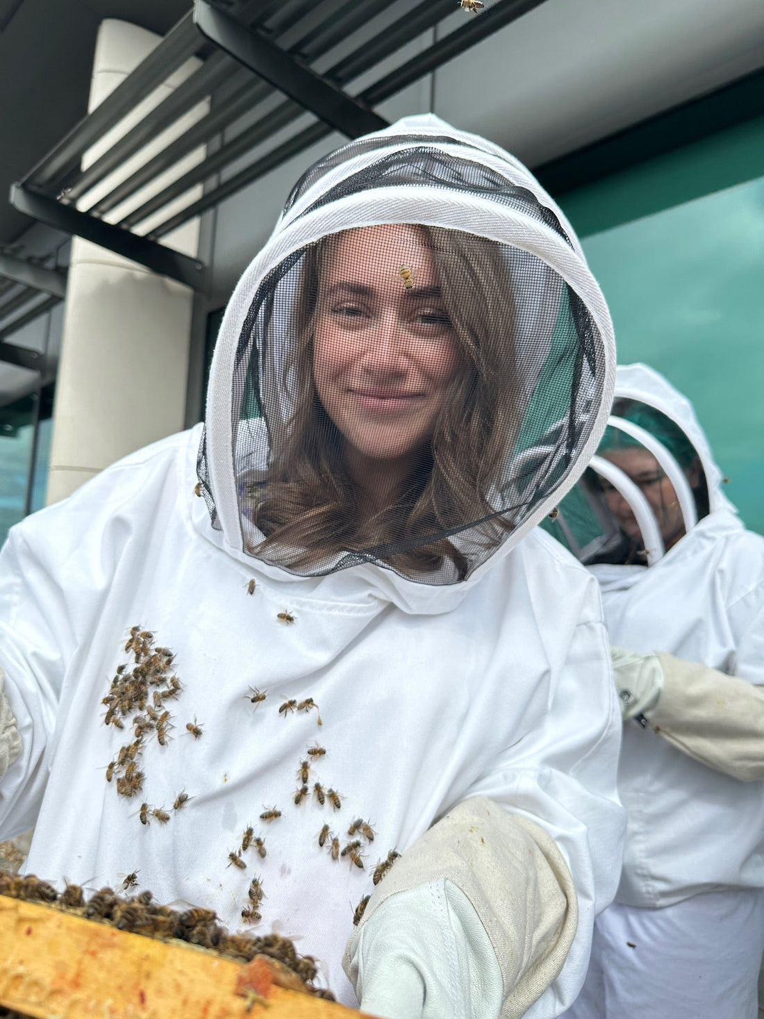 Inside the Hive: A Close Look at the World of Bees