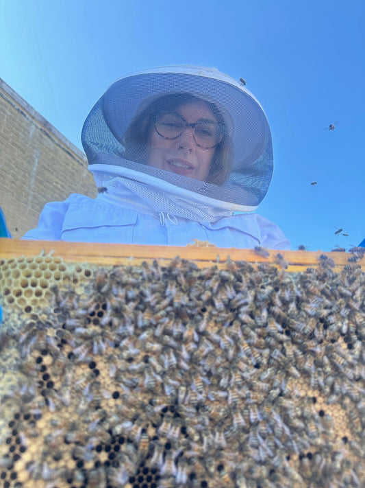 A Day Inside the Hive: Inspecting a Healthy Bee Colony