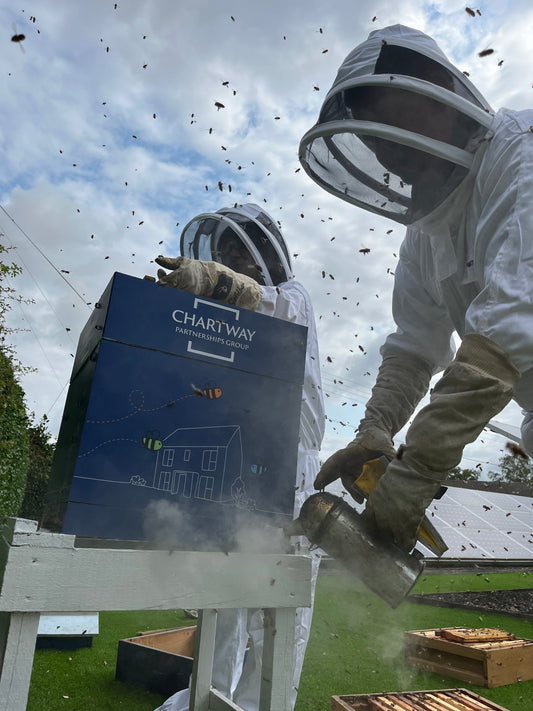 Chartway Bees