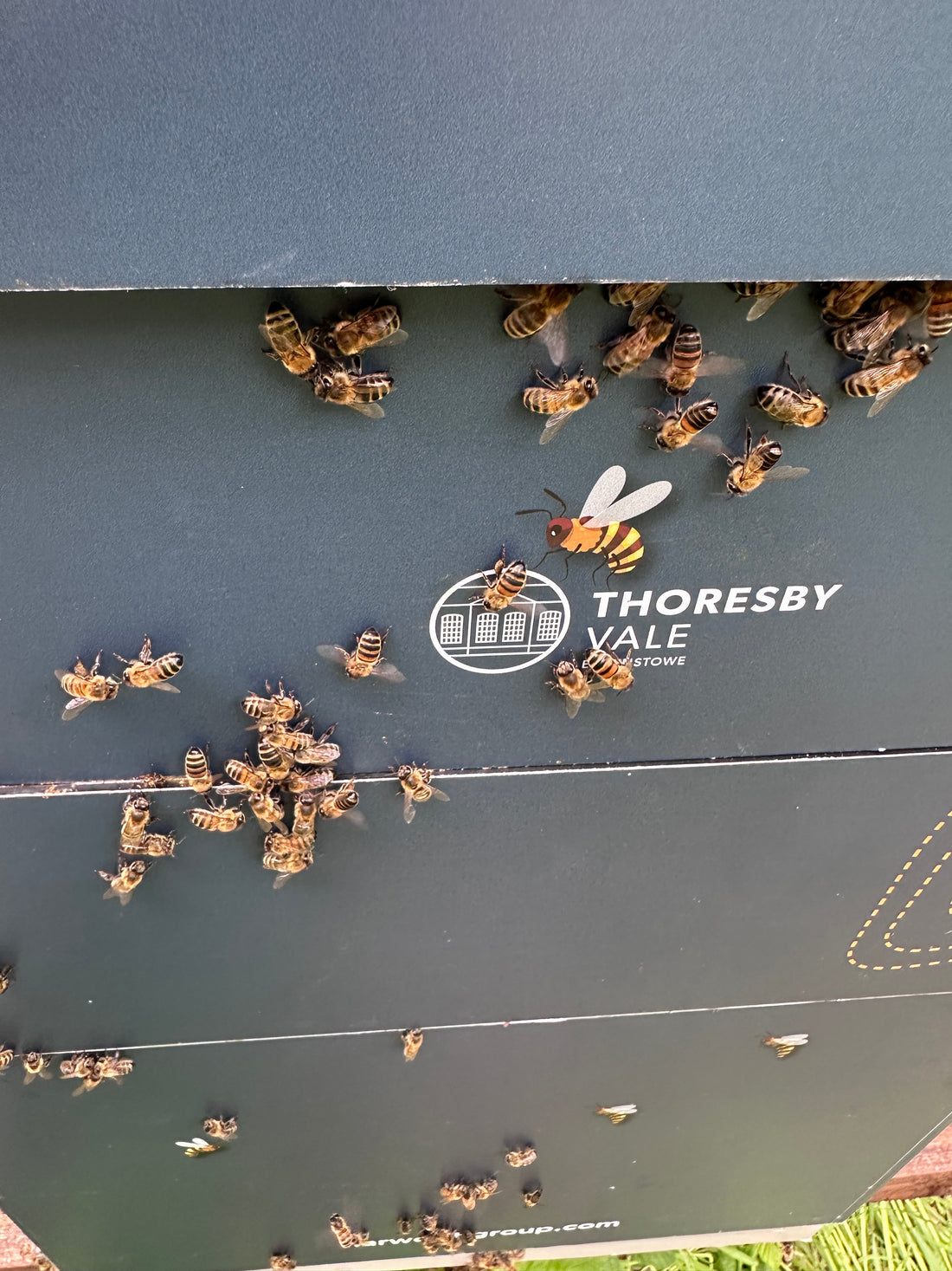 Bringing Nature Back to New Communities: Our Branded Beehive Installation at Thoresby Vale
