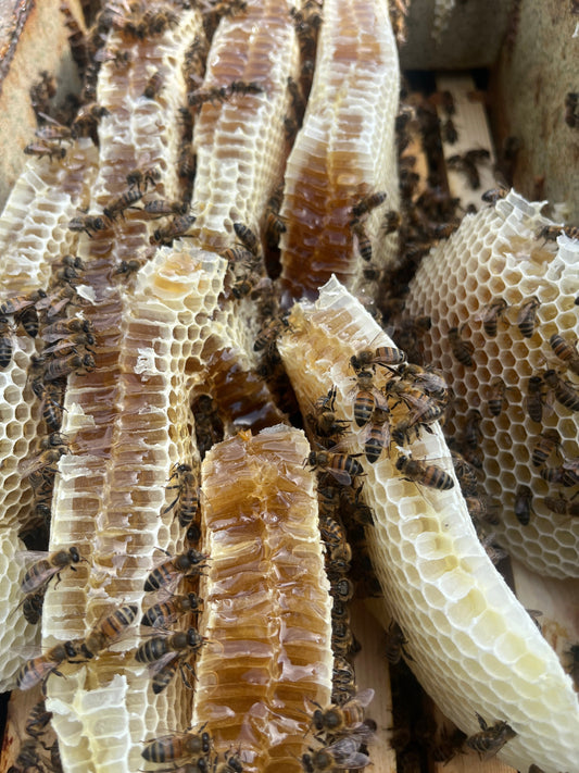 A jar of natural honey with a wooden honey dipper, representing honey as a natural workout fuel