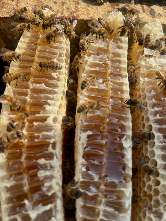 The honey trap: Why honey fraud is a health hazard