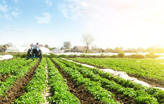 New Alternatives to Neonicotinoids: Can Farmers Protect Crops Without Harming Pollinators?