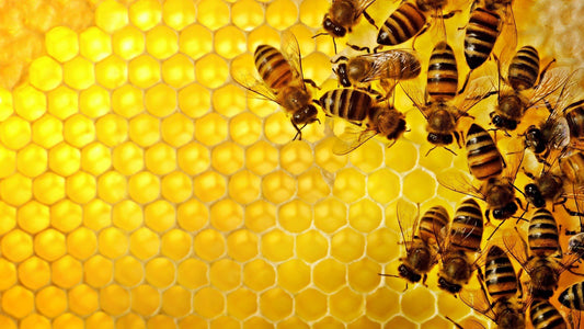 How can our company help you meet the challenges of sustainability?