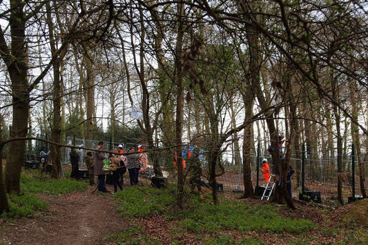 Why are ancient woodlands so important and how are they under threat in the UK?