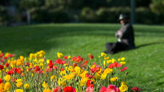 Could Biodiversity Net Gain Be The New Sustainable Strategy?