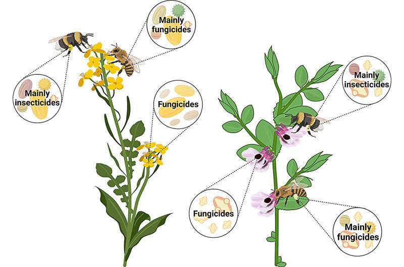 Pollen, Pesticides, ESG, Bees, Bummble bees, Honey bees