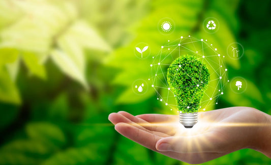 5 Tips to Leading a More Sustainable Lifestyle