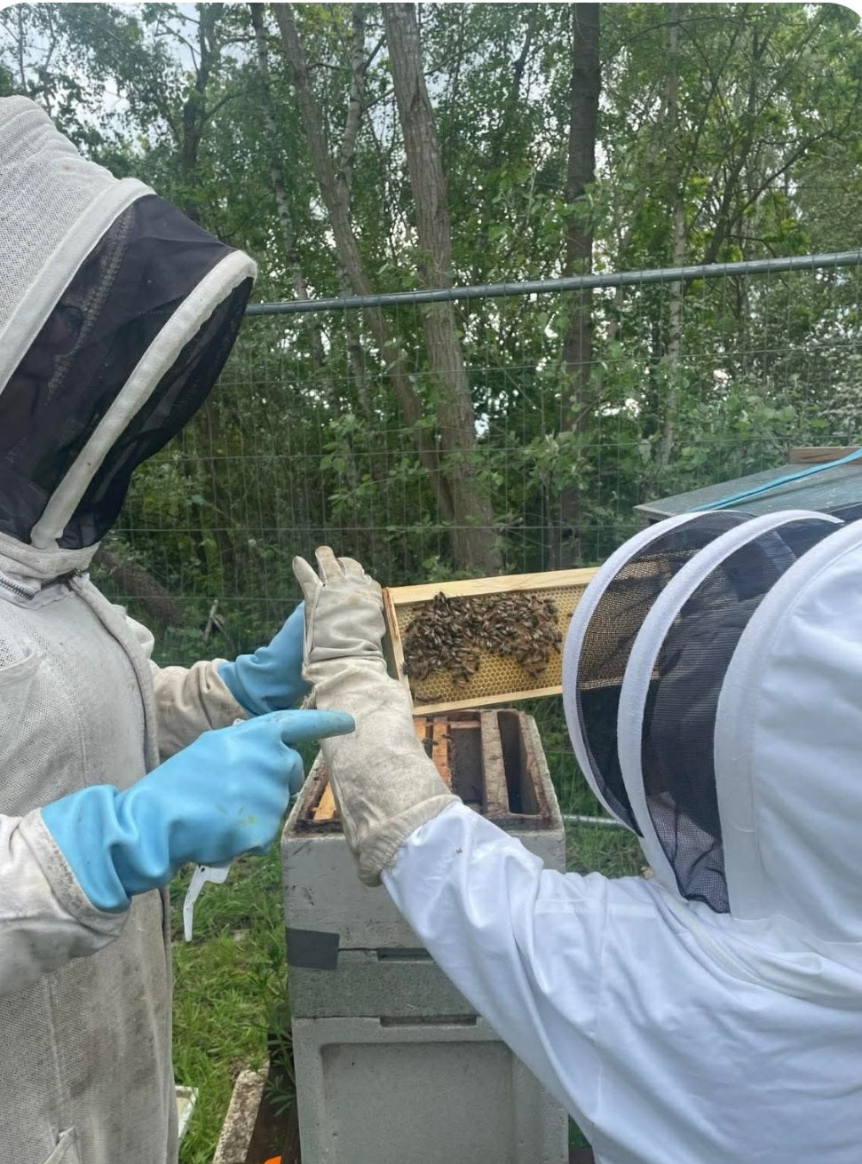 Branded Beehive – Site Visit, Consultation & Bespoke Proposal (Fully Managed Service) Schools & Charities