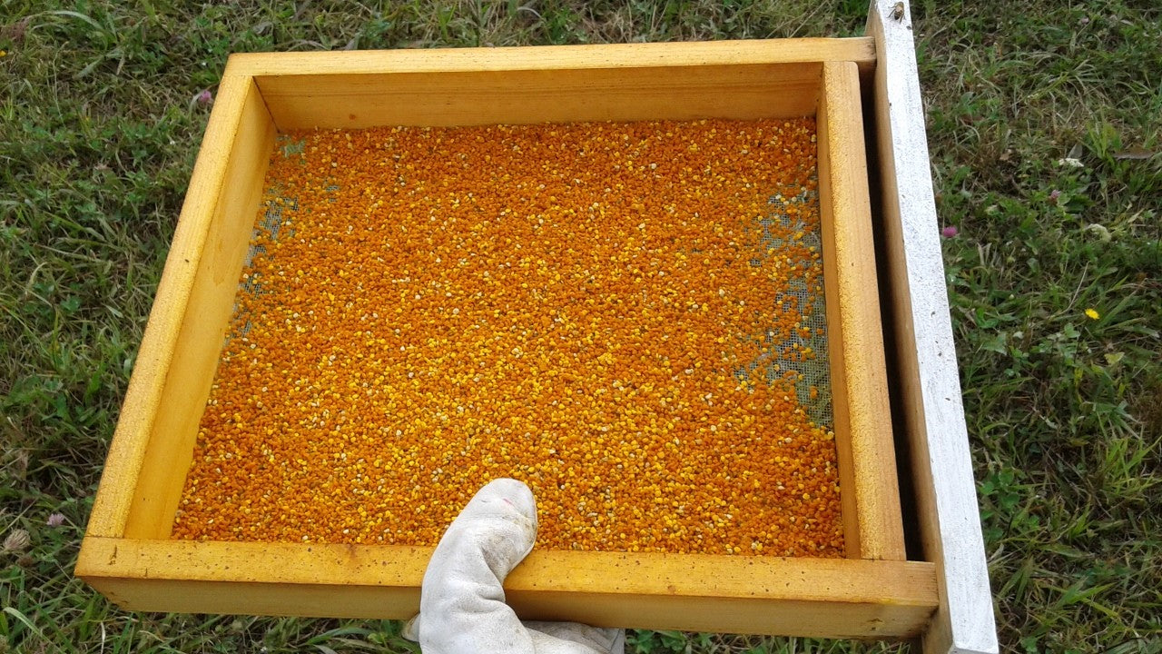 Pollen Test