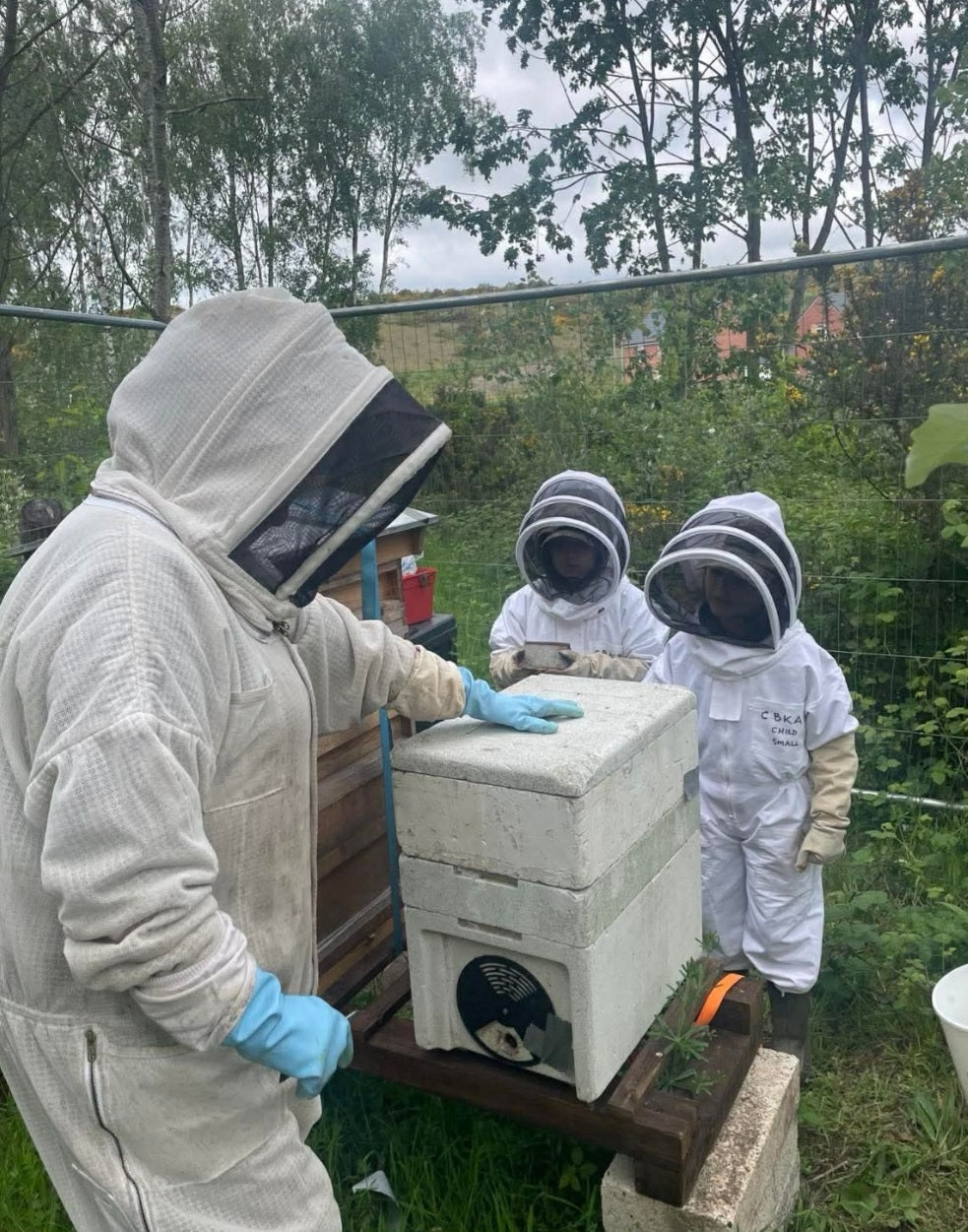 Branded Beehive – Site Visit, Consultation & Bespoke Proposal (Fully Managed Service) Schools & Charities