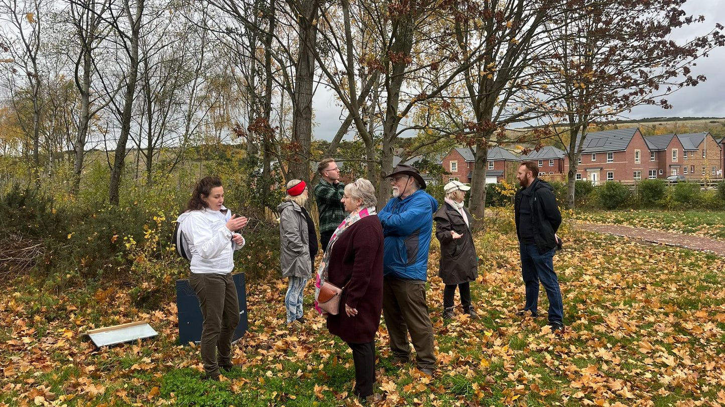 Branded Beehive – Site Visit, Consultation & Bespoke Proposal (Fully Managed Service) Schools & Charities