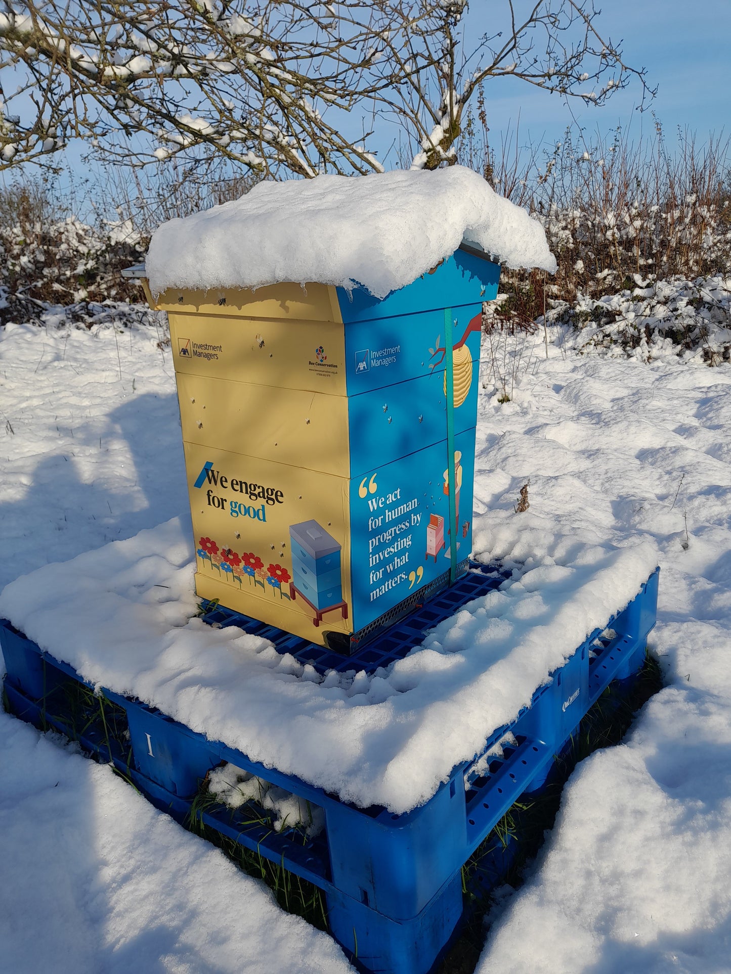 Branded Beehive – Site Visit, Consultation & Bespoke Proposal (Fully Managed Service) Schools & Charities