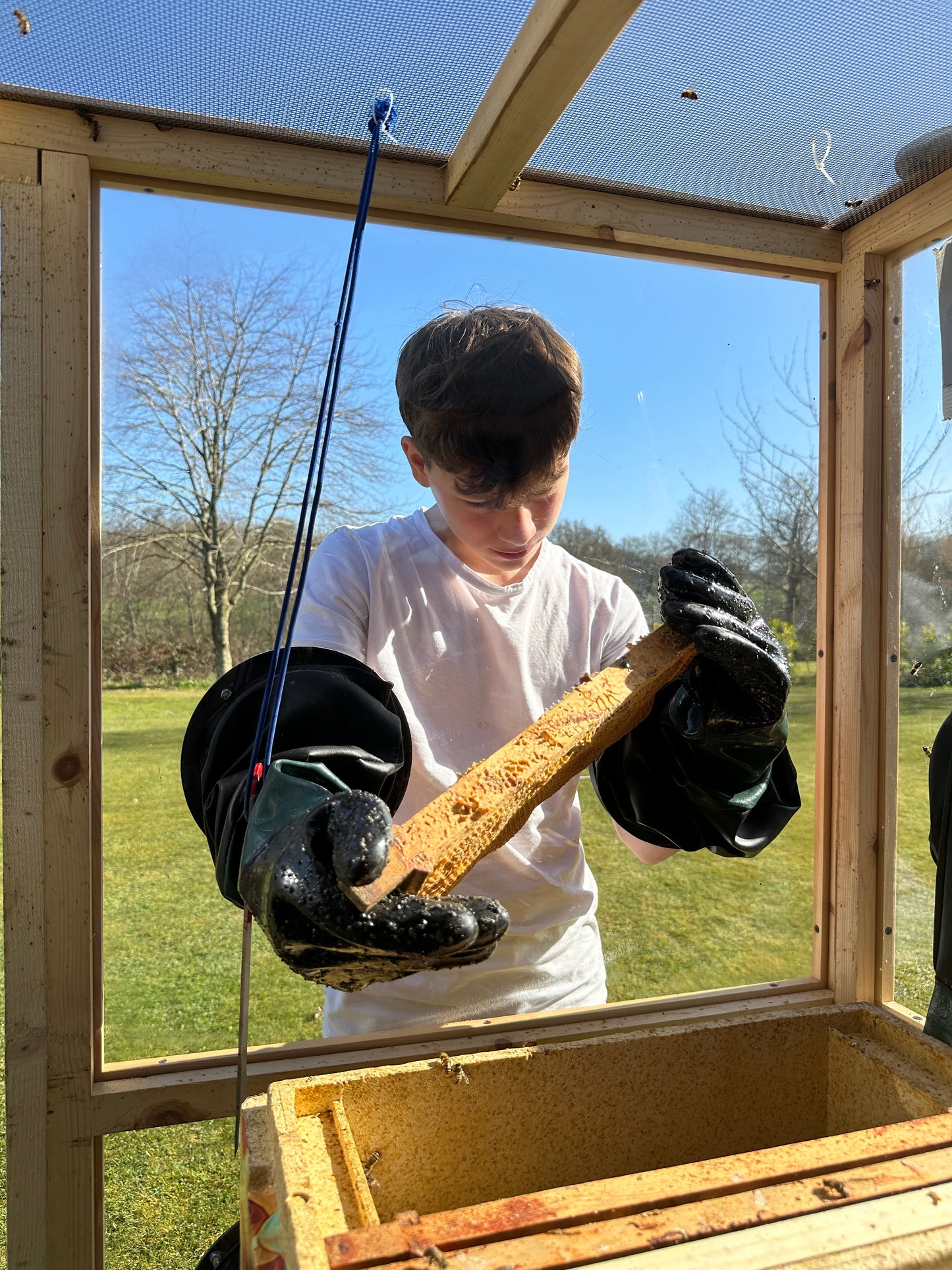 Mobile beehive full day - Basic| Multi-Day Discount Available