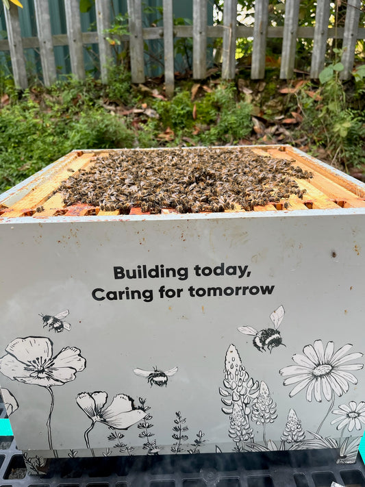 Branded Hive & Bees