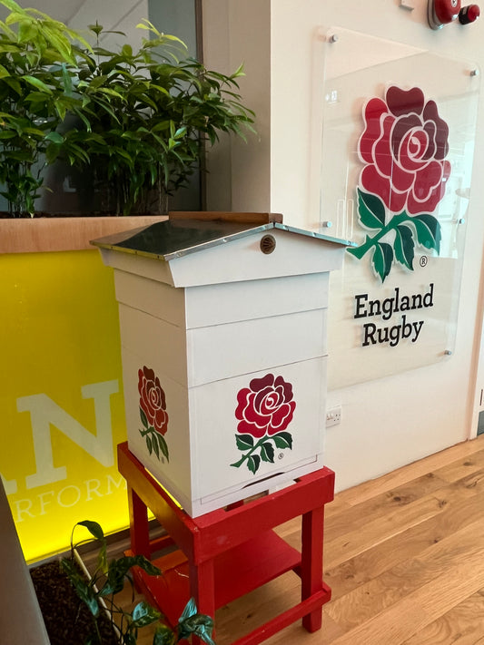 Branded Beehive & Bees – Delivered & Installed (Client Maintains Hive & Bees)