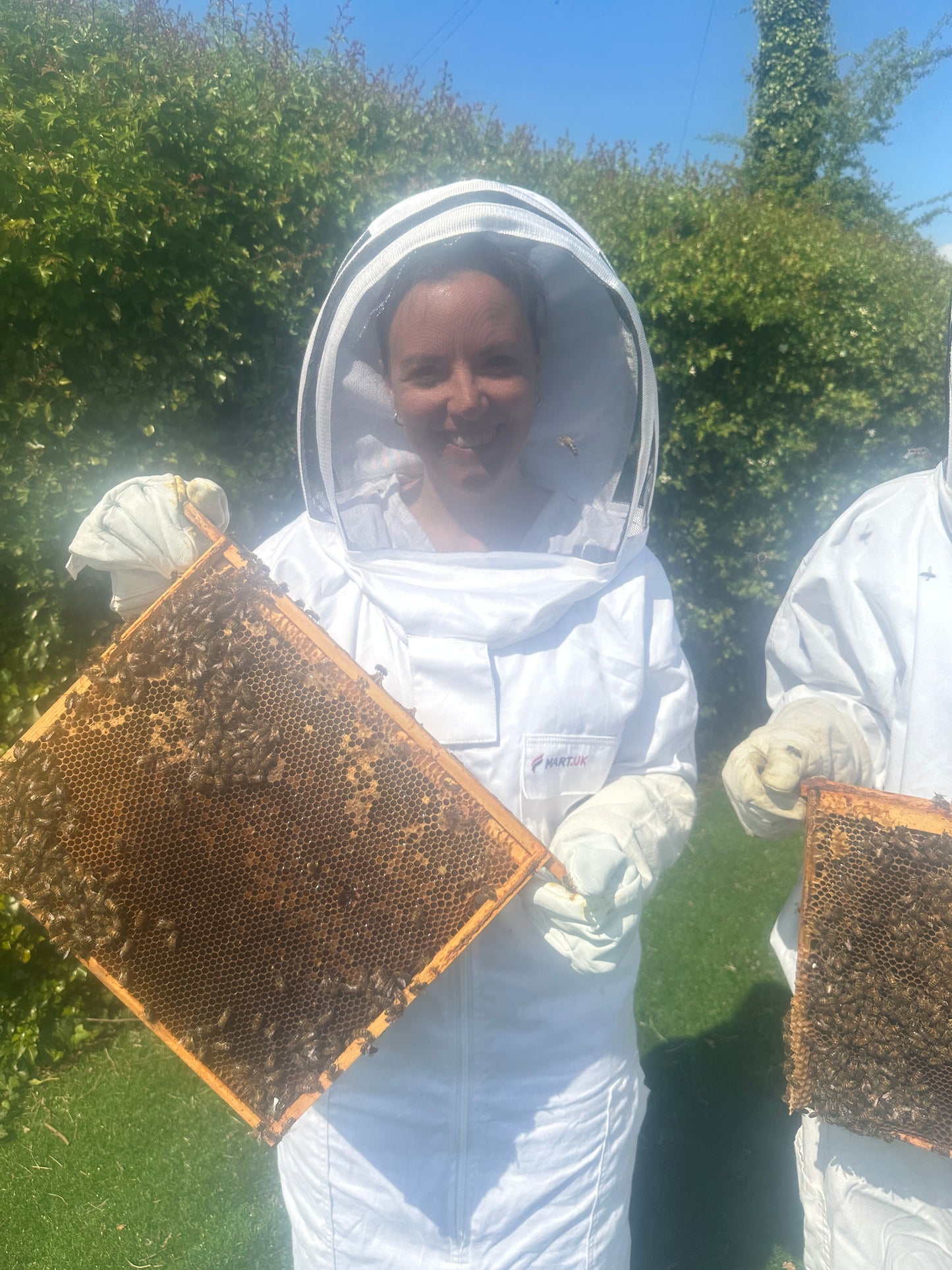 Branded Beehive – Site Visit, Consultation & Bespoke Proposal (Fully Managed Service)