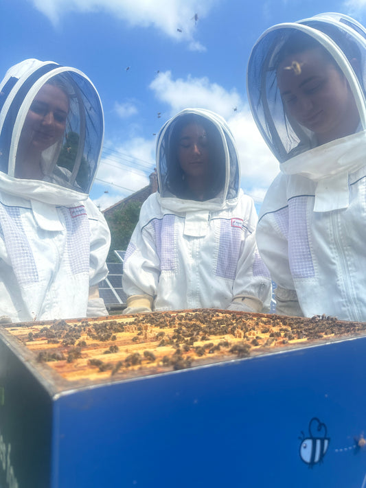 Managed Branded Beehives - Site visit