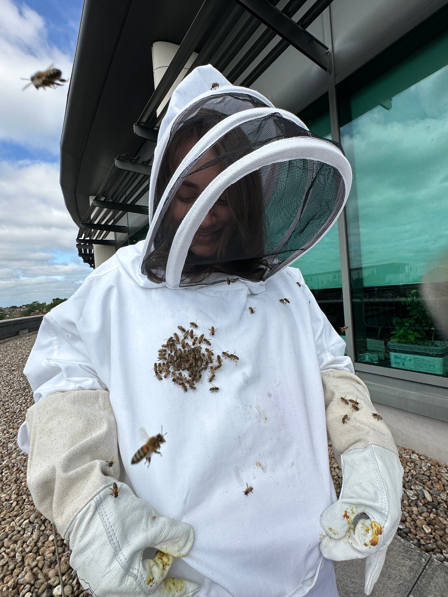 Branded Beehive – Site Visit, Consultation & Bespoke Proposal (Fully Managed Service) Schools & Charities