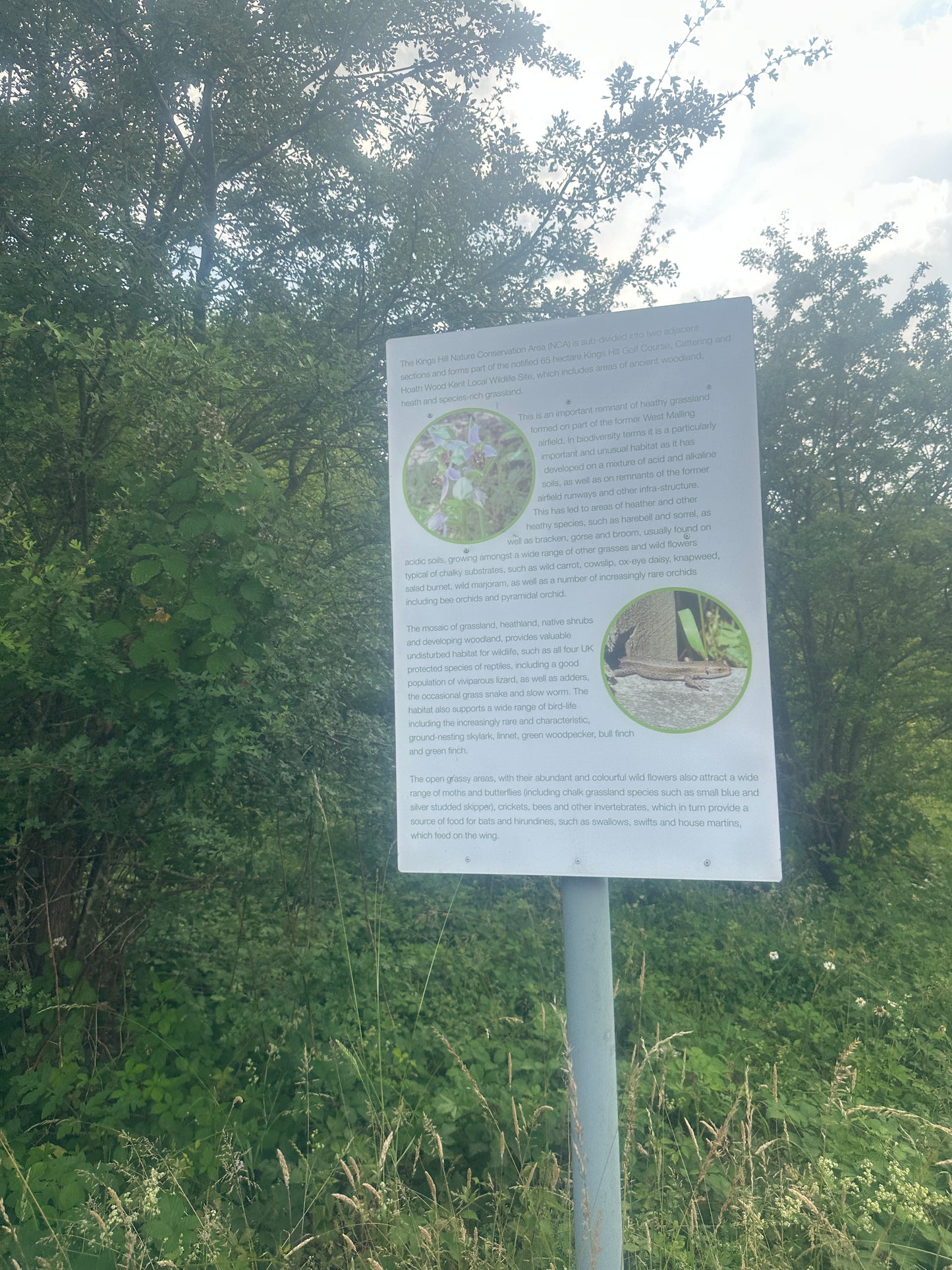 Branded Beehive – Site Visit, Consultation & Bespoke Proposal (Fully Managed Service) Schools & Charities