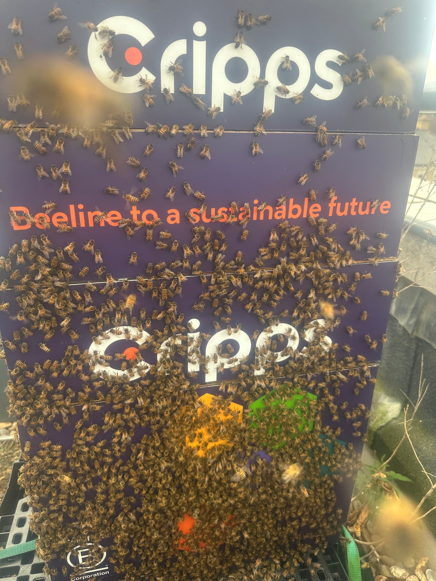 Branded Beehive – Site Visit, Consultation & Bespoke Proposal (Fully Managed Service) Schools & Charities