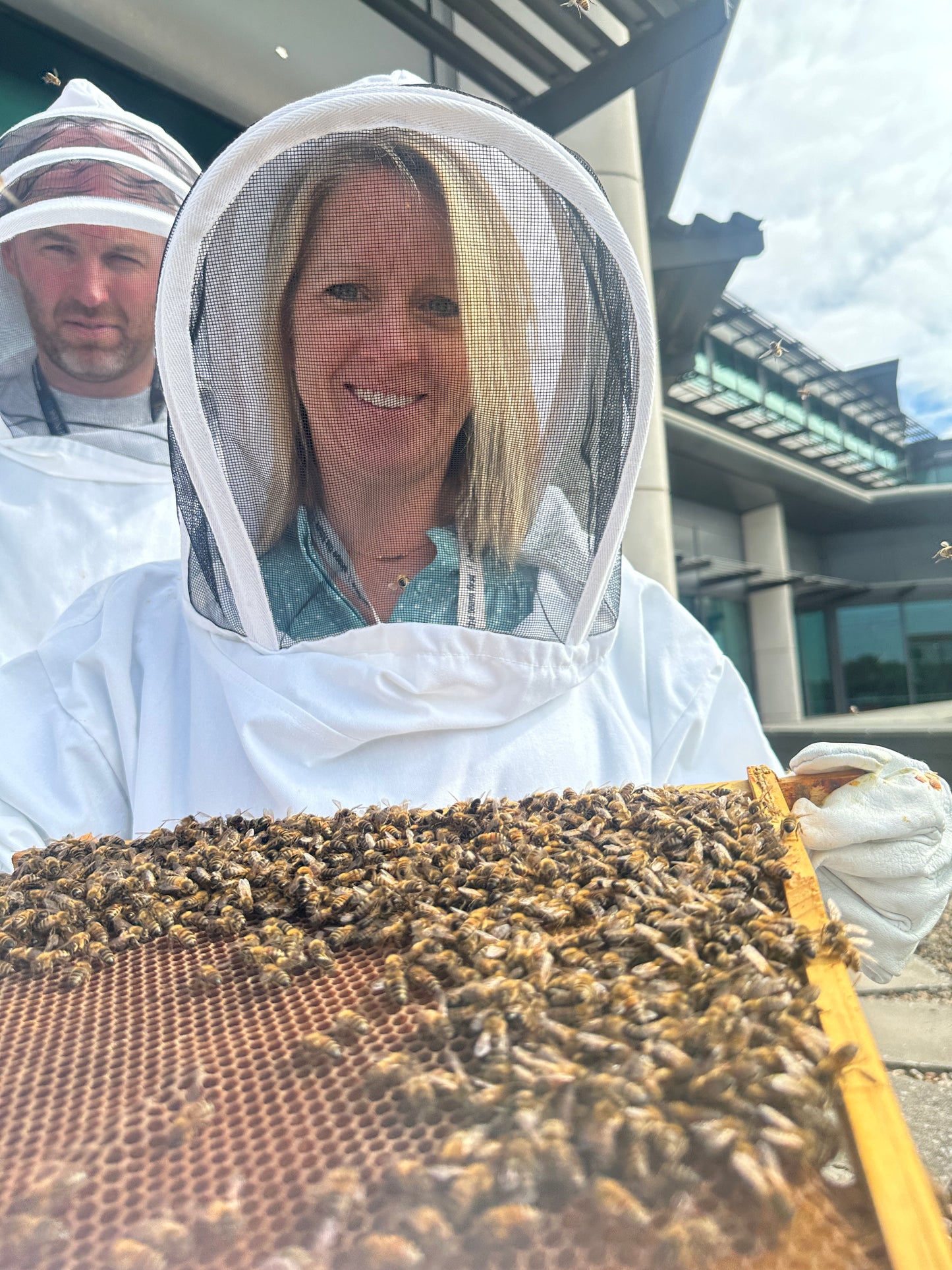 Branded Beehive – Site Visit, Consultation & Bespoke Proposal (Fully Managed Service) Schools & Charities