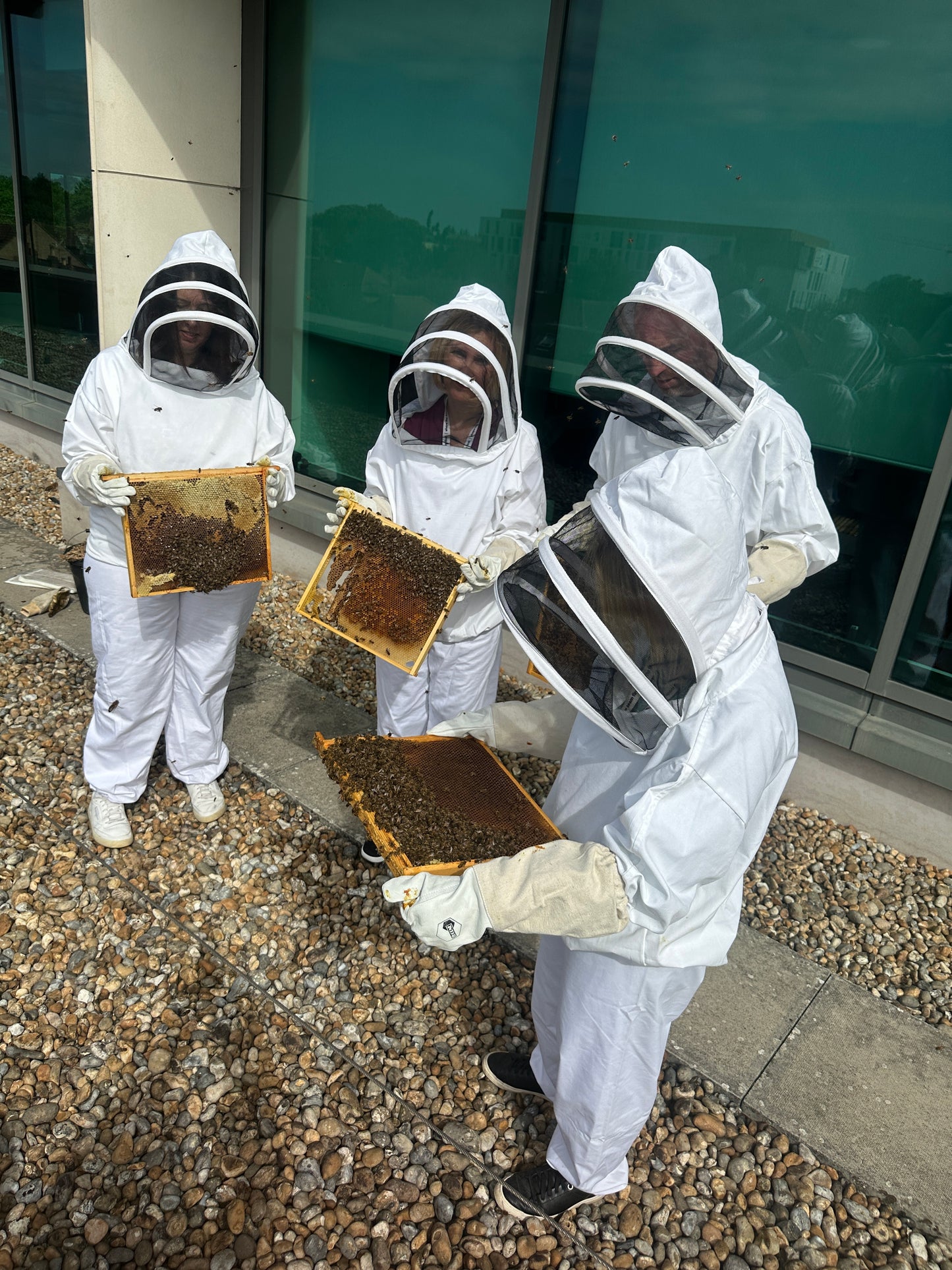 Branded Beehive – Site Visit, Consultation & Bespoke Proposal (Fully Managed Service) Schools & Charities