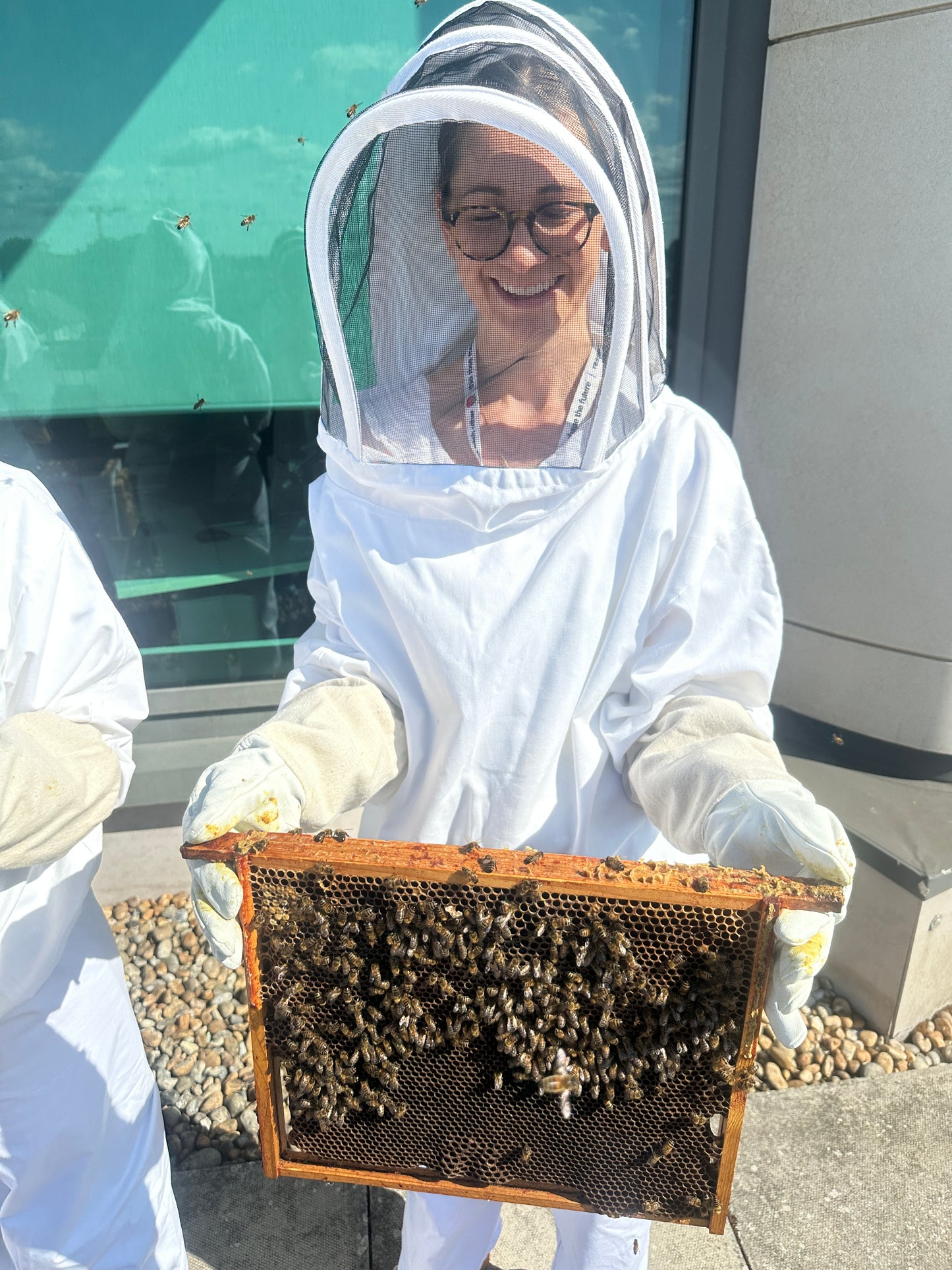 Branded Beehive – Site Visit, Consultation & Bespoke Proposal (Fully Managed Service) Schools & Charities