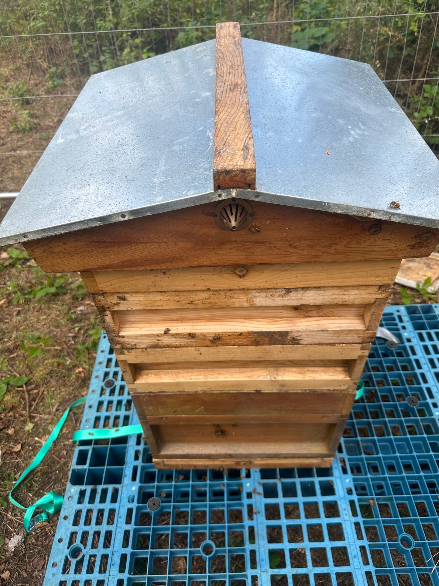 Non Branded Beehives - Hosted on our Charity/Farms