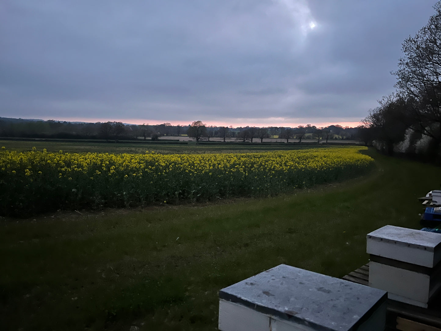 Non Branded Beehives - Hosted on our Charity/Farms