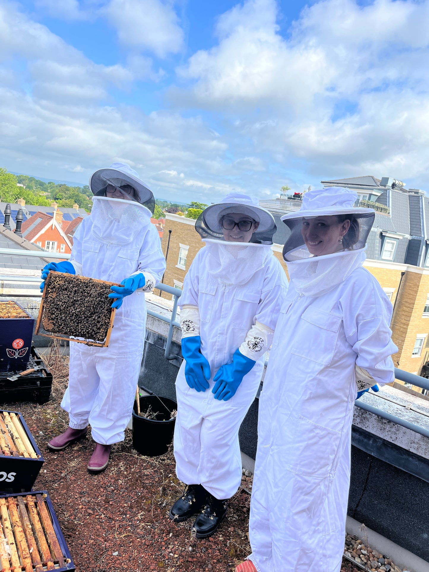 Branded Beehive – Site Visit, Consultation & Bespoke Proposal (Fully Managed Service) Schools & Charities
