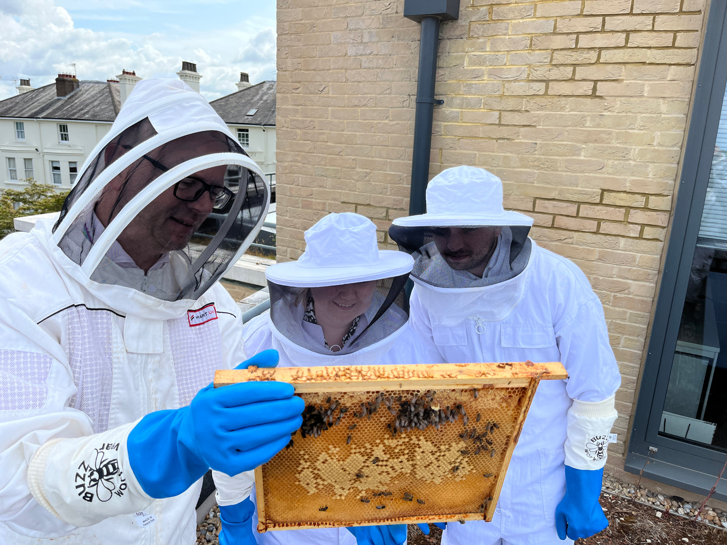 Branded Beehive – Site Visit, Consultation & Bespoke Proposal (Fully Managed Service) Schools & Charities