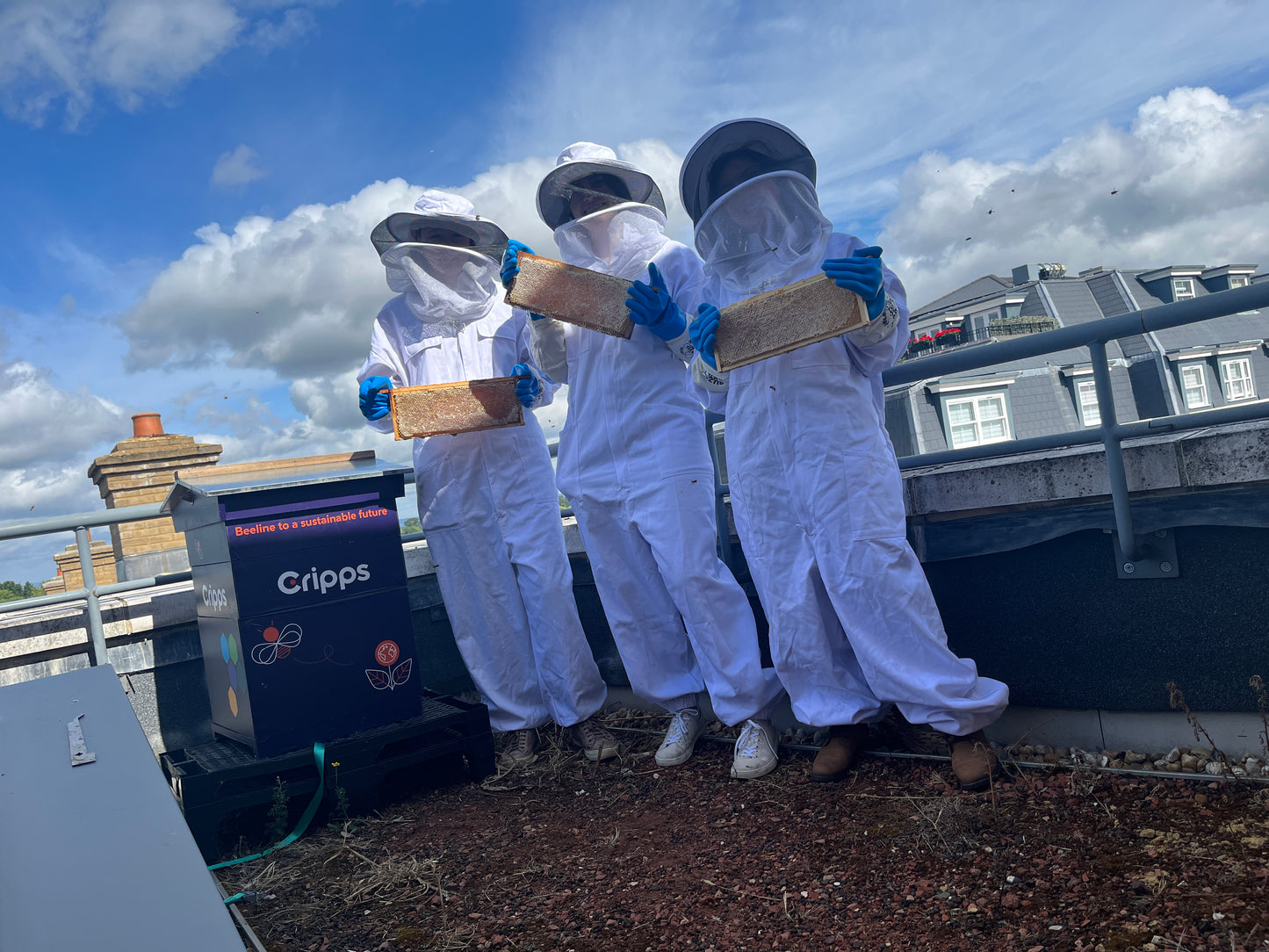 Branded Beehive – Site Visit, Consultation & Bespoke Proposal (Fully Managed Service)