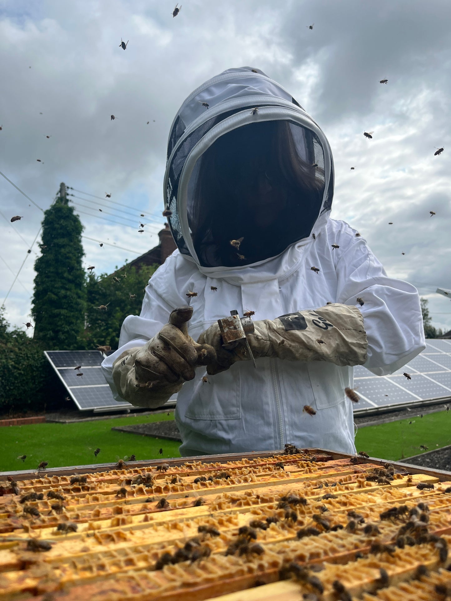 Branded Beehive – Site Visit, Consultation & Bespoke Proposal (Fully Managed Service) Schools & Charities