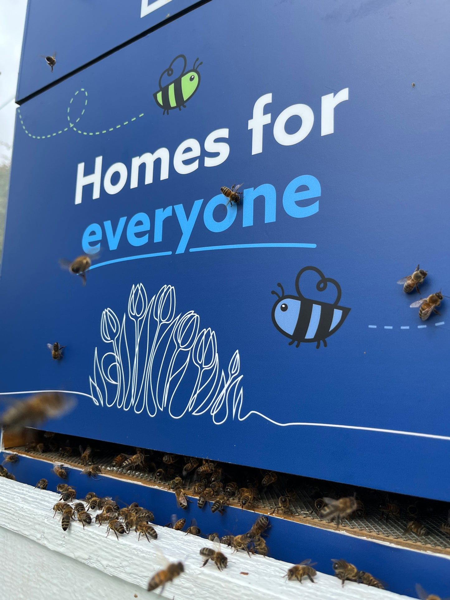 Branded Beehive – Site Visit, Consultation & Bespoke Proposal (Fully Managed Service) Schools & Charities