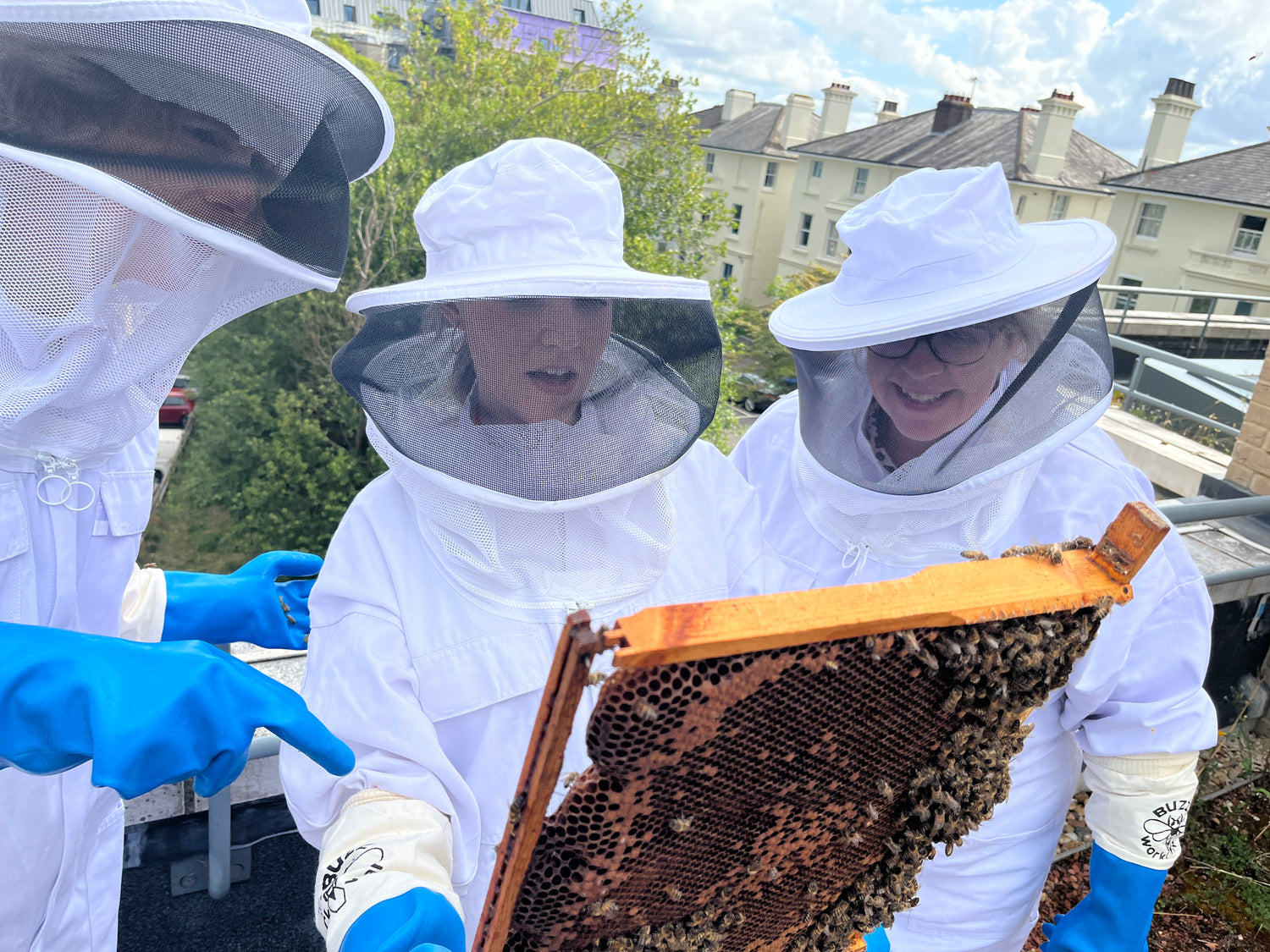 Staff engagement, ESG, Bees