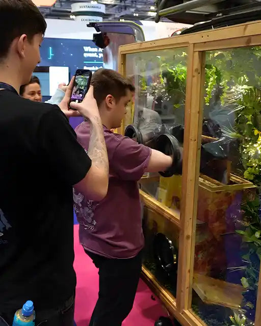 Mobile bee Hive - Half Day