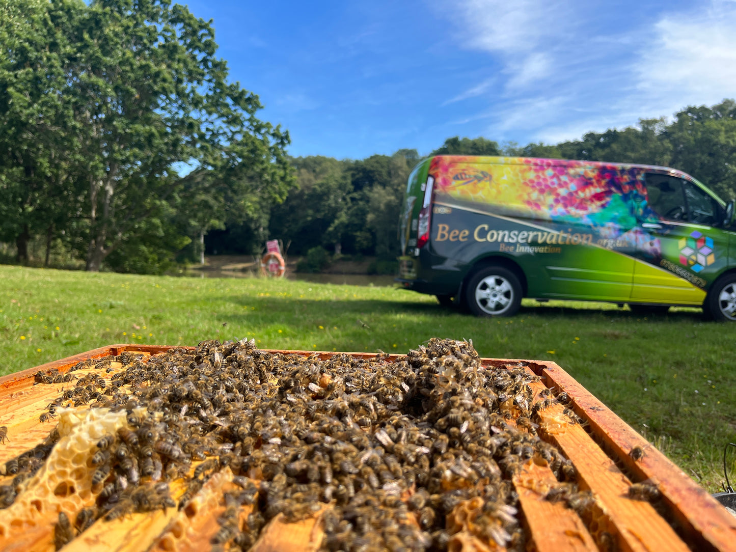 Bees for Sale - National Premium