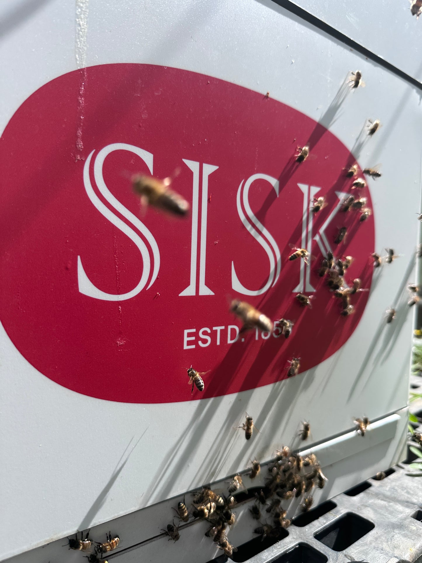 Branded Beehive – Site Visit, Consultation & Bespoke Proposal (Fully Managed Service) Schools & Charities